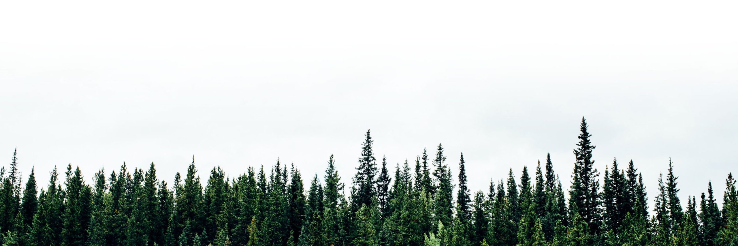 GEL Proximity Italia spedizioni in punti di ritiro sostenibili spedizioni in proximity riduzione CO2